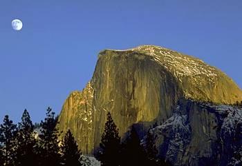 Curry Village Lodging Yosemite National Park 9010 Curry Village Drive