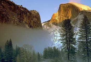 Curry Village Lodging Yosemite National Park 9010 Curry Village Drive