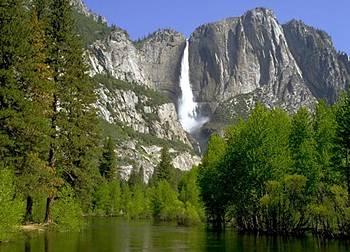 Curry Village Lodging Yosemite National Park 9010 Curry Village Drive