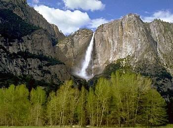 Curry Village Lodging Yosemite National Park 9010 Curry Village Drive