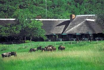 Bakubung Bush Lodge Pilanesburg National Park