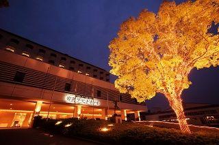 Aki Grand Hotel Hiroshima 1-1-17 Miyajimaguchi-nishi Hatsukaichi-shi 739-0412