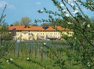 Steigenberger Hotel Deidesheim Am Paradiesgarten 1