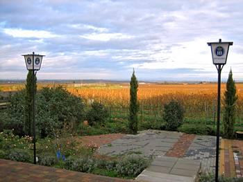 Hotel Zum Winzergarten Weisenheim am Berg Am Nussbaum 6