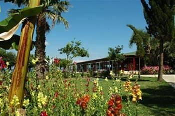 Delfinia Hotel & Bungalows Mytilene Molyvos