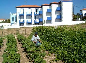 Aphrodite Beach Hotel Polichnitos Vatera