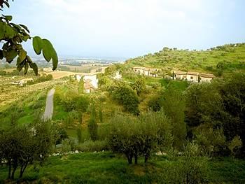 Agriturismo Il Poggio Degli Olivi Bettona Loc. Montebalacca