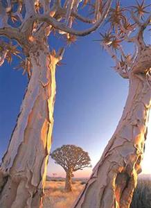 Canon Lodge Fish River Canyon Gondwana Canon Park Kalahari Keetmashoop