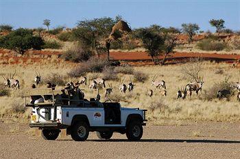 Kalahari Anib Lodge Mariental Mariental Road C20 30km NE