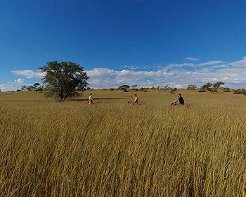 Zebra Kalahari Lodge Mariental District road D1268