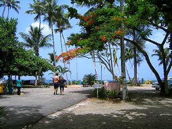 Villa Antonio Resort Rincon (Puerto Rico) Road 115 Km 12 0