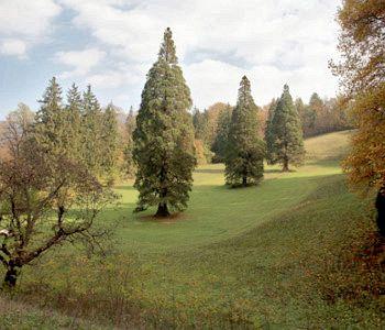 Hotel Sofijin Dvor Rimske Toplice Toplice 10