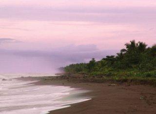 Pachira Lodge Tortuguero Parque Nacional Tortuguero