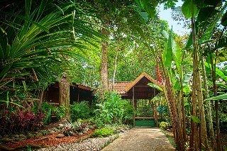 Pachira Lodge Tortuguero Parque Nacional Tortuguero