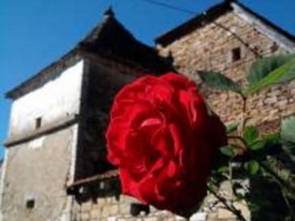 La Noyeraie Rocamadour Bed & Breakfast Rocamadour En Caminou