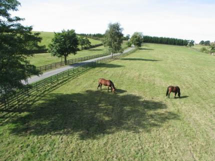 Alcott Farm Bed and Breakfast Birmingham Icknield Street