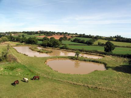 Alcott Farm Bed and Breakfast Birmingham Icknield Street