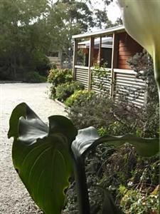 Ocean Grove Cedar Cabins (Australia) 20 Woodlands Drive