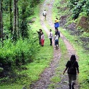 Coorg Planter's Camp Kirudale, Near Somwarpet