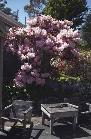 Tan-Y-Bryn Cottages Hobart 20 Pillinger Drive, Fern Tree