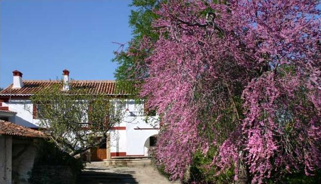 Casa Rural El Recuerdo Trujillo (Spain) Pago de San Clemente, Apartado de Correos 28