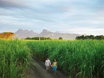 Four Seasons Resort Mauritius at Anahita Grse Beau Champ