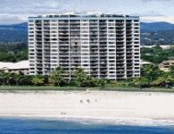 Princess Palm On The Beach Apartments Gold Coast 969 Gold Coast Highway