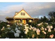 Emma's Cottage Vineyard Rothbury (Australia) 438 Wilderness Road