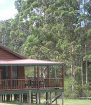 Walpole Wilderness Resort Gardiner Rd, WA , 6398