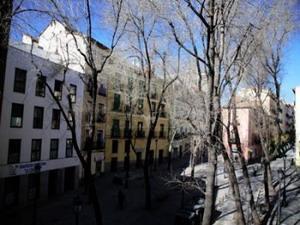 Caetano Apartments Madrid Calle de Lavapiés 33