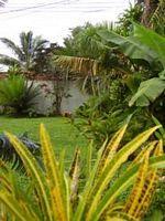 Kava Palm Guesthouse Nuku'Alofa Taufa'a ahau Road