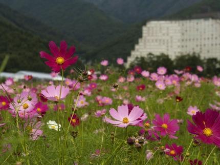 Hotel Listel Inawashiro Listel Park Kawageta Inawashiro Town