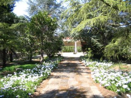 Villa Letizia Masseria Ravenna