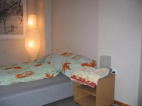 Apartamenty Amber Krakow Dietla 63