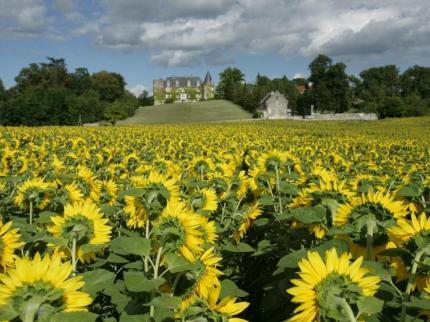 Chateau De La Cote Hotel Brantome Biras Bourdeilles