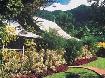 Ferntree Hostel Cape Tribulation Camelot Close