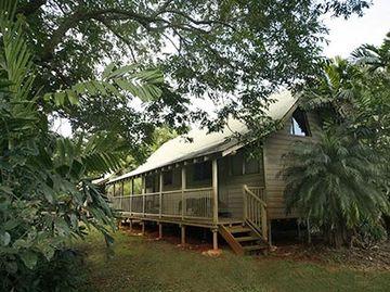 Ferntree Hostel Cape Tribulation Camelot Close