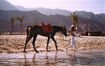 Safari Beach Hotel Nuweiba Nuweiba