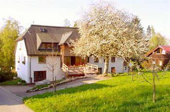 Hotel Das Landhaus Hochenschwand Tiefenhäusern 14