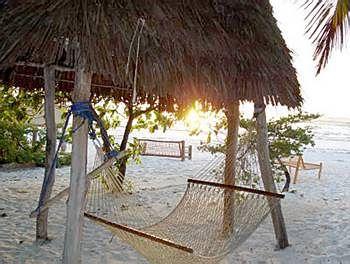 Twisted Palms Lodge & Restaurant Zanzibar Bwejuu Beach