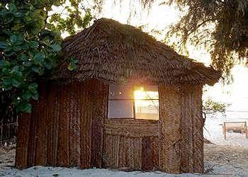 Twisted Palms Lodge & Restaurant Zanzibar Bwejuu Beach