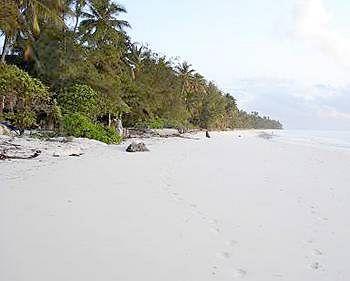 Twisted Palms Lodge & Restaurant Zanzibar Bwejuu Beach