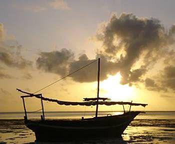 Twisted Palms Lodge & Restaurant Zanzibar Bwejuu Beach