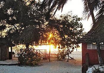 Twisted Palms Lodge & Restaurant Zanzibar Bwejuu Beach