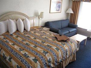 Best Western St. Petersburg Hotel Clearwater (Florida) 3655 Hospitality Lane