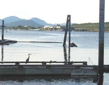 Narrows Inn Restaurant & Marina Hotel Ketchikan 4871 N Tongass Hwy Po Box 8296