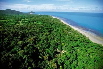 Cape Tribulation Resort & Spa Lot 10 Cape Tribulation Road