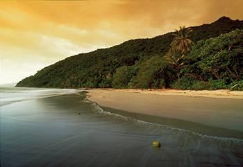 Cape Tribulation Resort & Spa Lot 10 Cape Tribulation Road