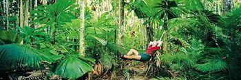 Ferntree Rainforest Lodge Cape Tribulation Camelot Close