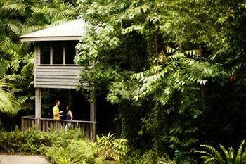 Ferntree Rainforest Lodge Cape Tribulation Camelot Close